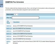 DMEPOS Fee Schedule Screenshot