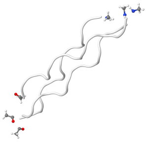 hydrolyzed-collagen