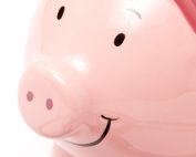 Pig with a stethoscope