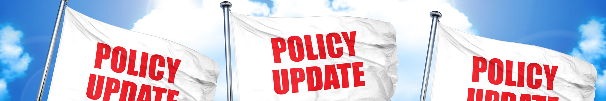 Flags waving in the sky with the words, "Policy Update" on them